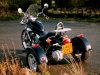 Black trike