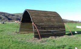 Horse Arc in West Sussex