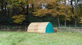 Horse Arc in Buckinghamshire with fly nets