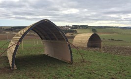 Large Horse Arcs in East Surrey