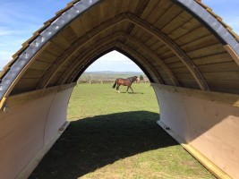 Large Horse Arc in Durham