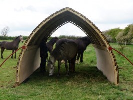 Horse and owner in their Arc