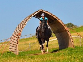 A ride-through field shelter