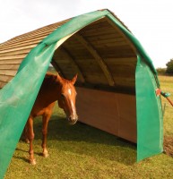 Fly nets on a medium Horse Arc