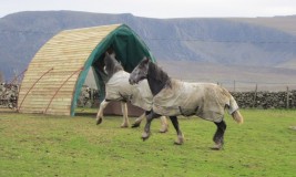 A more natural field shelter