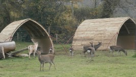 A field shelter for deer