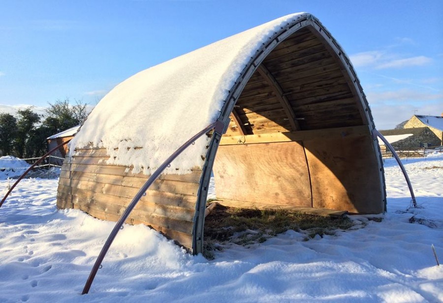 A shelter that withstands wind and weather