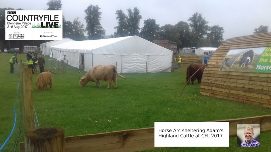 Horse Arc at Countryfile Live 2017